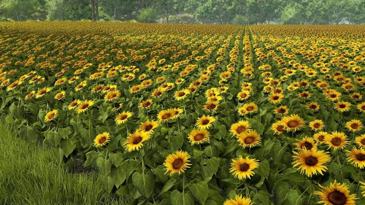 图片[2]-模拟农场25 v1.5.0中文版高画质农机MOD下载 多人联机田园经营巨献-锐品游戏库