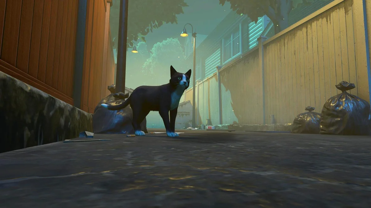 图片[3]-冒牌猫谜v1.0.6中文版高画质叙事冒险游戏免费下载-锐品游戏库