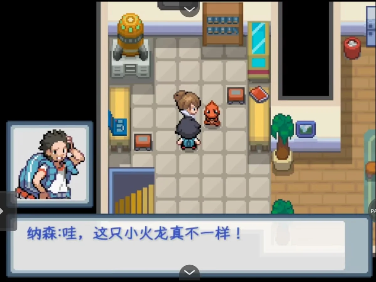 宝可梦：燃烧的鳞片中文版最新版下载 高画质同人RPG冒险端游-锐品游戏库