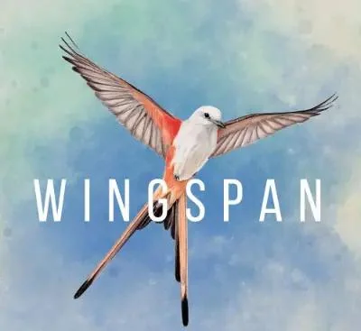 展翅翱翔Wingspan Switch中文版v1.7.723+6DLC 高画质鸟类策略卡牌游戏免费下载-锐品游戏库