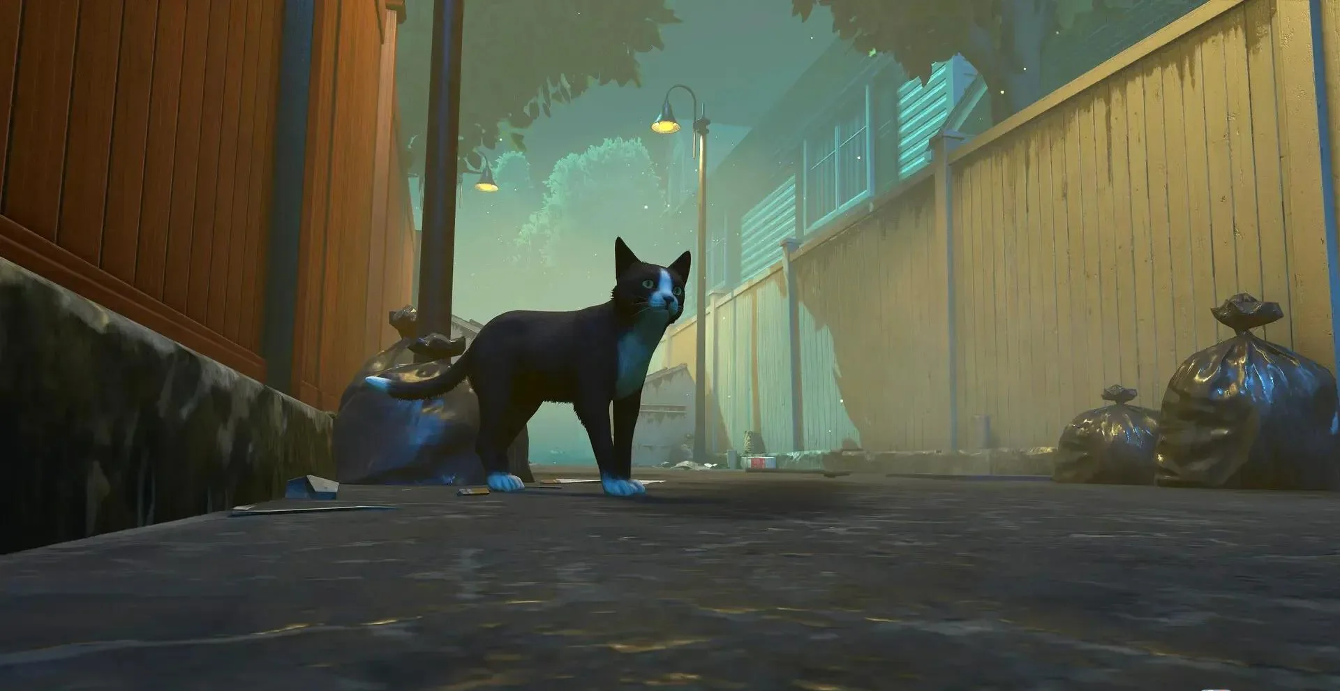 图片[1]-冒牌猫谜Copycat v1.0.4官方中文高画质版下载|17.5GB治愈叙事冒险单机-锐品游戏库